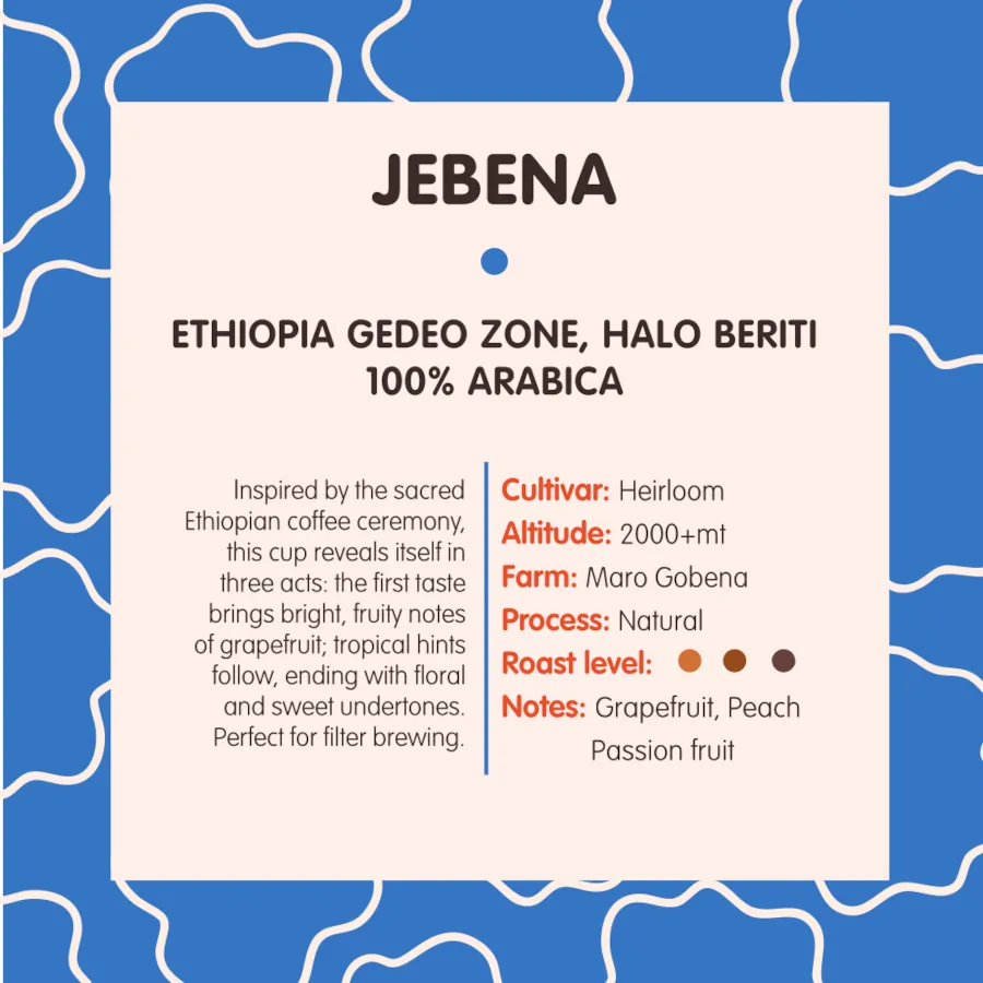 Jebena – Drip bags 10x9g