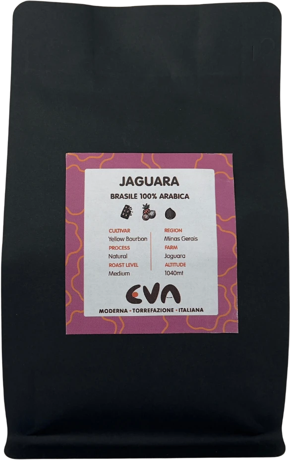 pacchetto di brasile jaguara