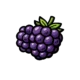 blackberry